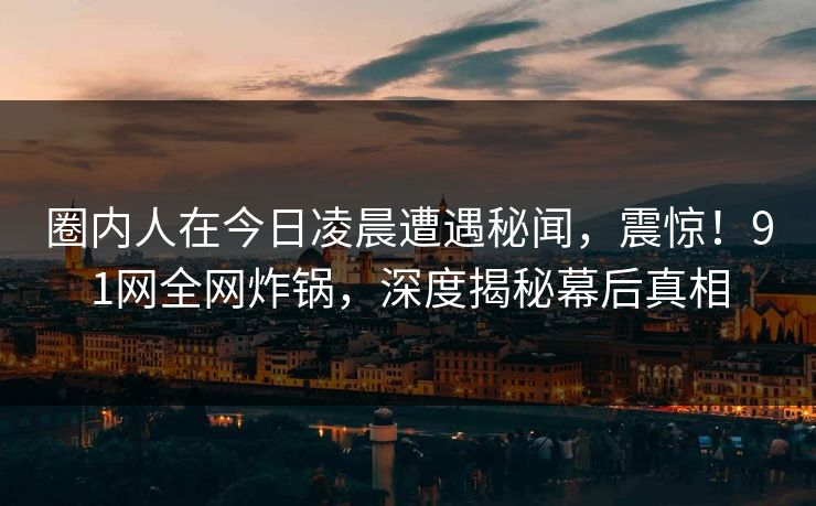 圈内人在今日凌晨遭遇秘闻，震惊！91网全网炸锅，深度揭秘幕后真相