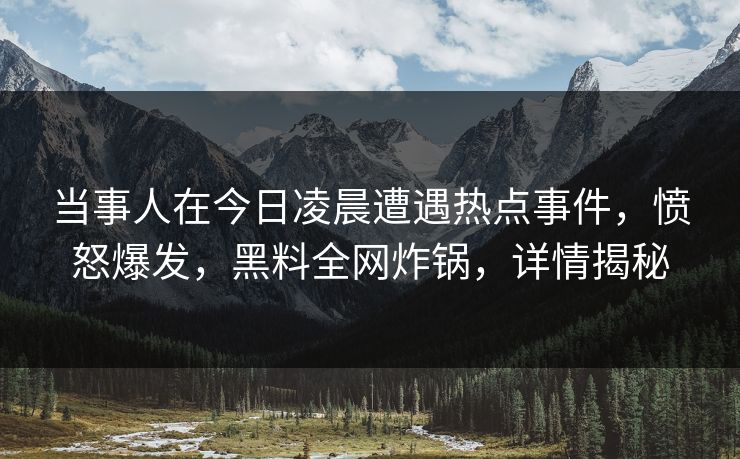 当事人在今日凌晨遭遇热点事件，愤怒爆发，黑料全网炸锅，详情揭秘