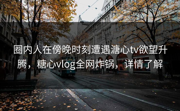 圈内人在傍晚时刻遭遇溏心tv欲望升腾，糖心vlog全网炸锅，详情了解