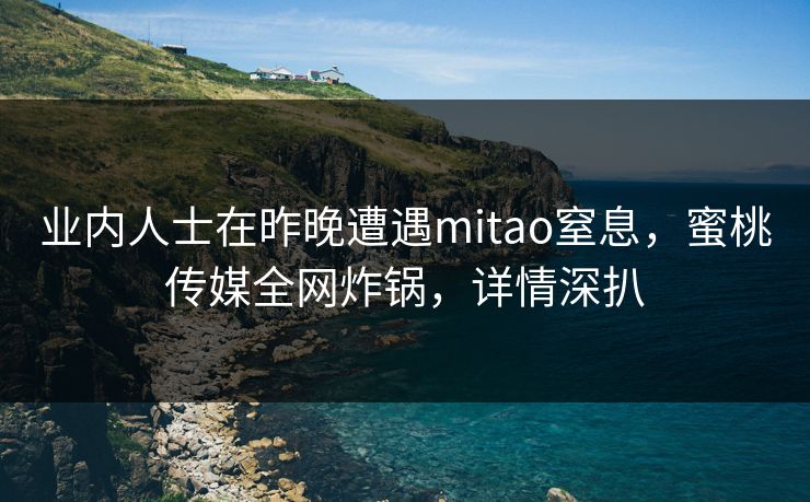 业内人士在昨晚遭遇mitao窒息，蜜桃传媒全网炸锅，详情深扒