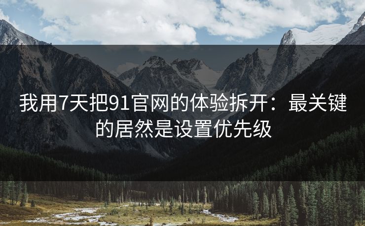 我用7天把91官网的体验拆开：最关键的居然是设置优先级